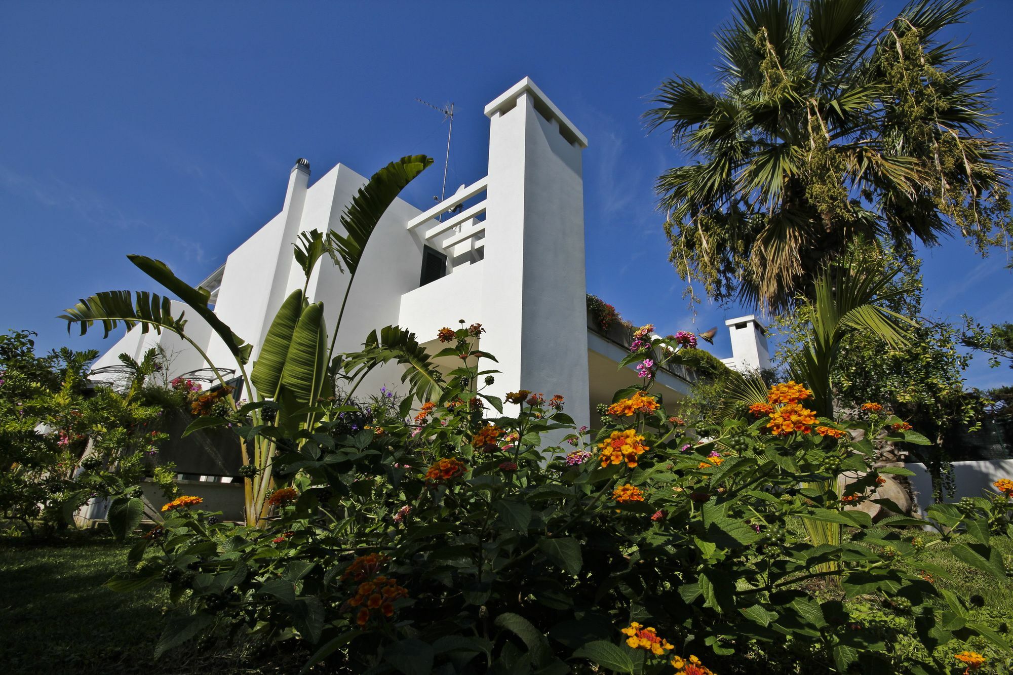B&B Villa Genny A Pochi Passi Dal Mare سان كاتالدو المظهر الخارجي الصورة